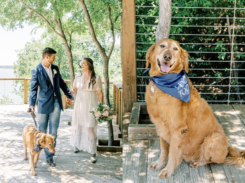 Bride and groom walking hand in hand with best dog