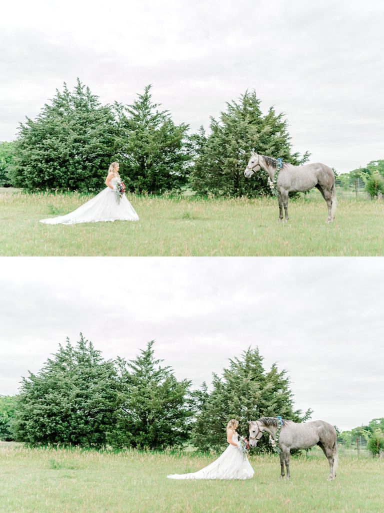 Bride walking up to horse in field