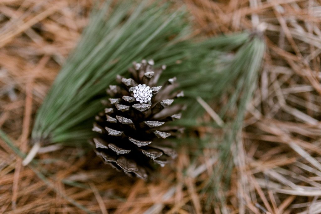 engagement ring on pine cone