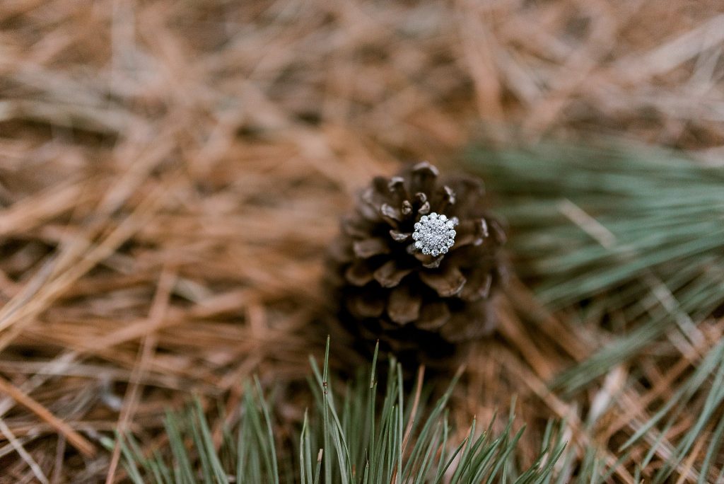 engagement ring with pine cone and pine trees