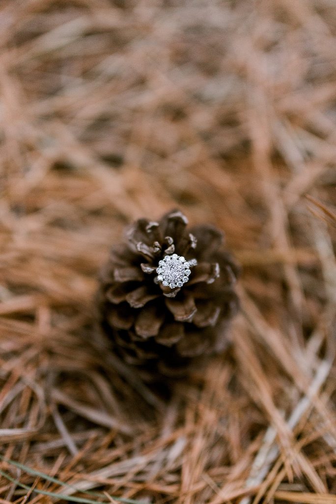 engagement ring with pine cones in the grasslands