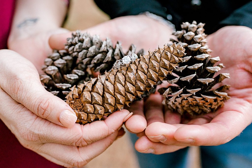 Hands holding engagement ring on pinecones