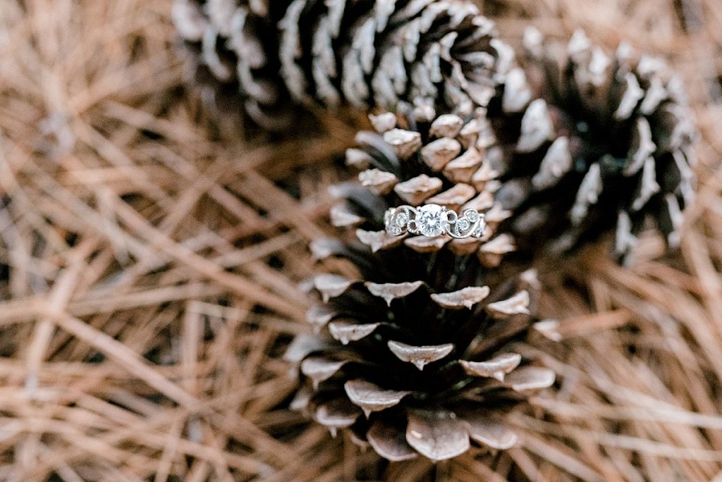 Engagement ring laying on pinecone at Wildcatter Ranch engagement session