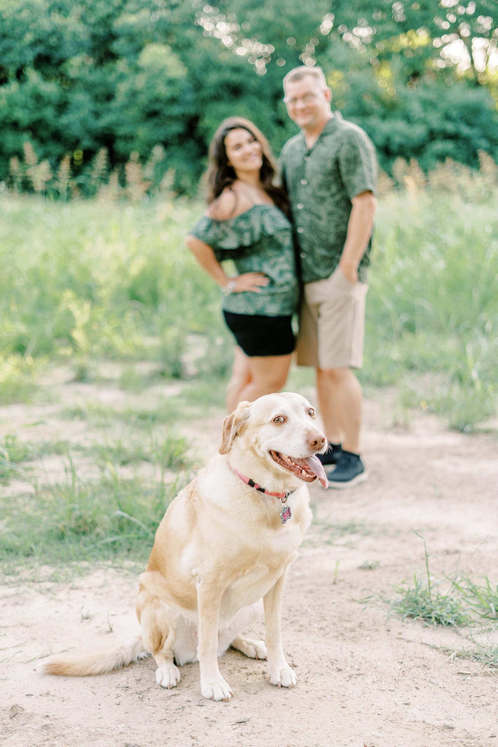 Dog looking at camera while couple embraces in background