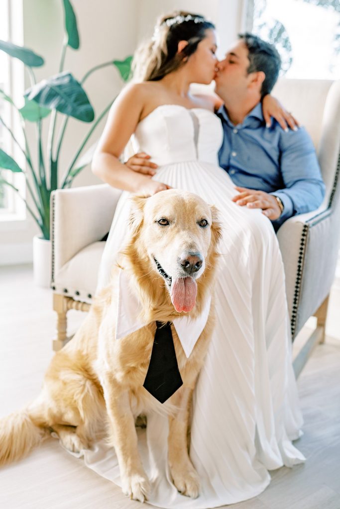 Bride and groom kissing in chair while their dog sits next to them in best dog tie