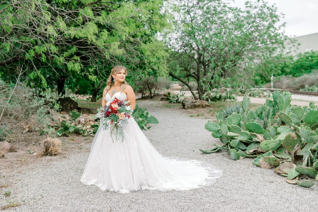 Bride standing in cactus field Fort Worth Stockyards