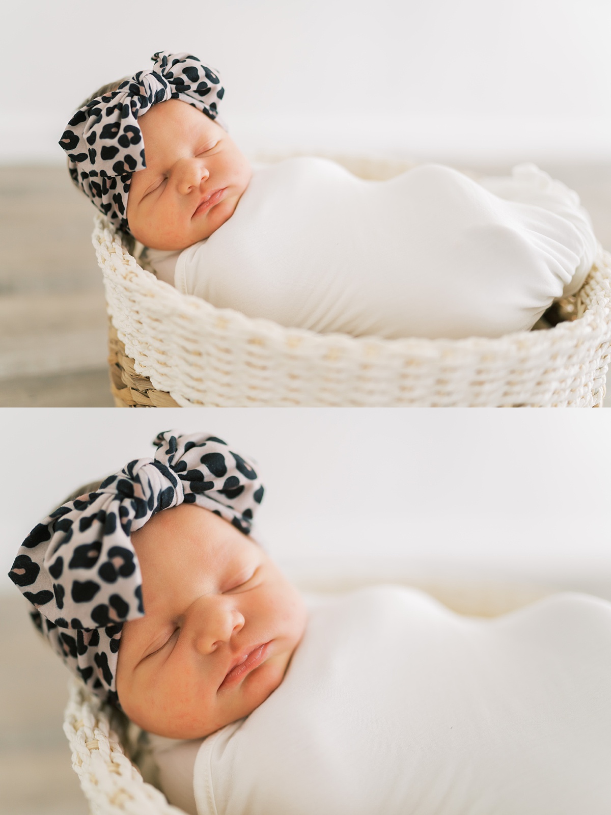 newborn baby in basket