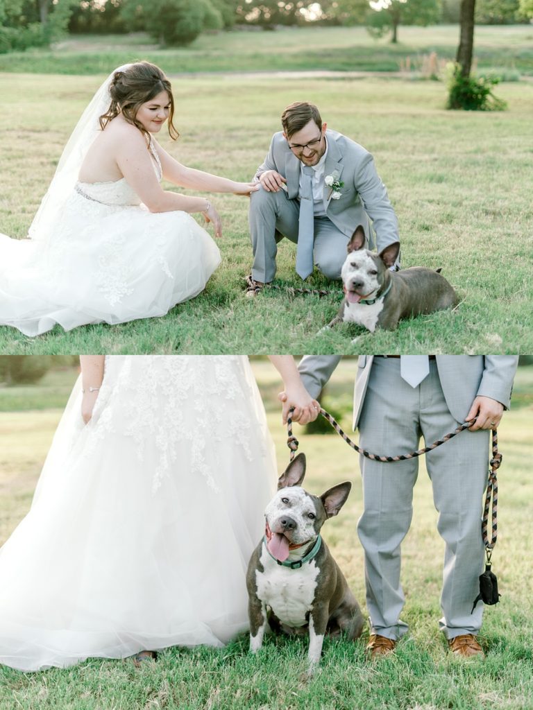 bride, groom and dog